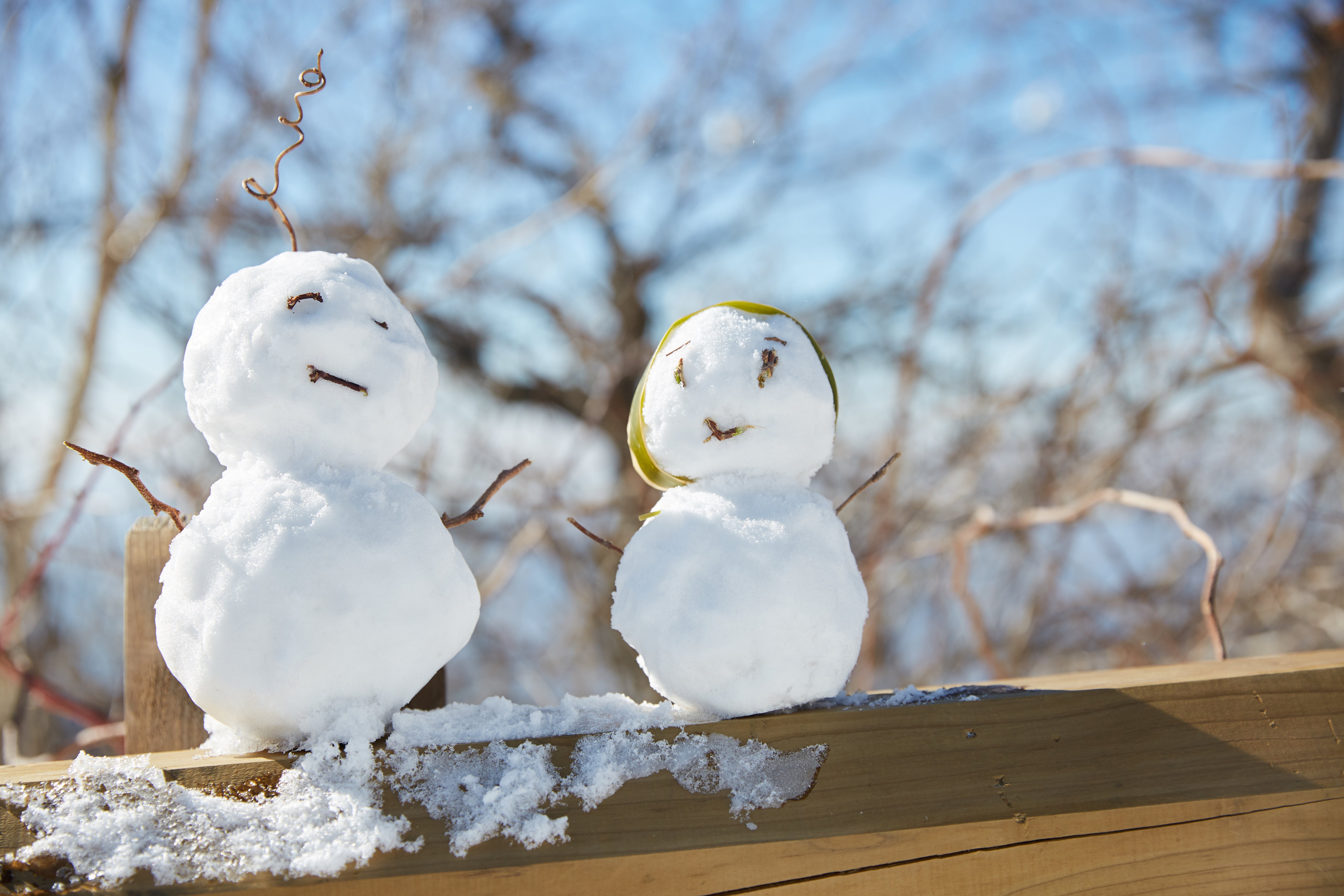 冬至，暖“杨”相伴 | 尊龙集团人全力配合各墓园冬至落葬