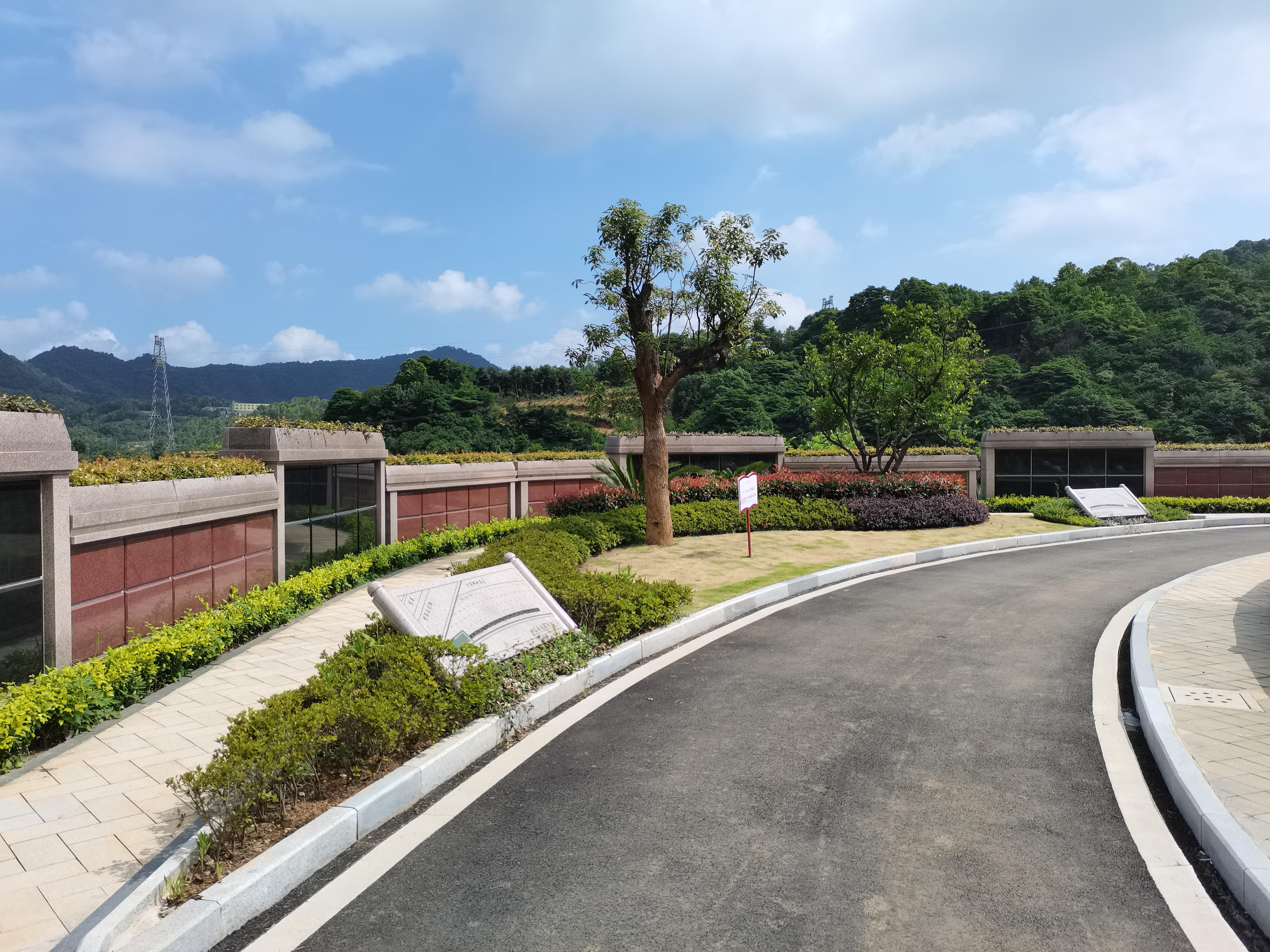 海葬和树葬哪个好？两种生态葬祭方式的选择与意义