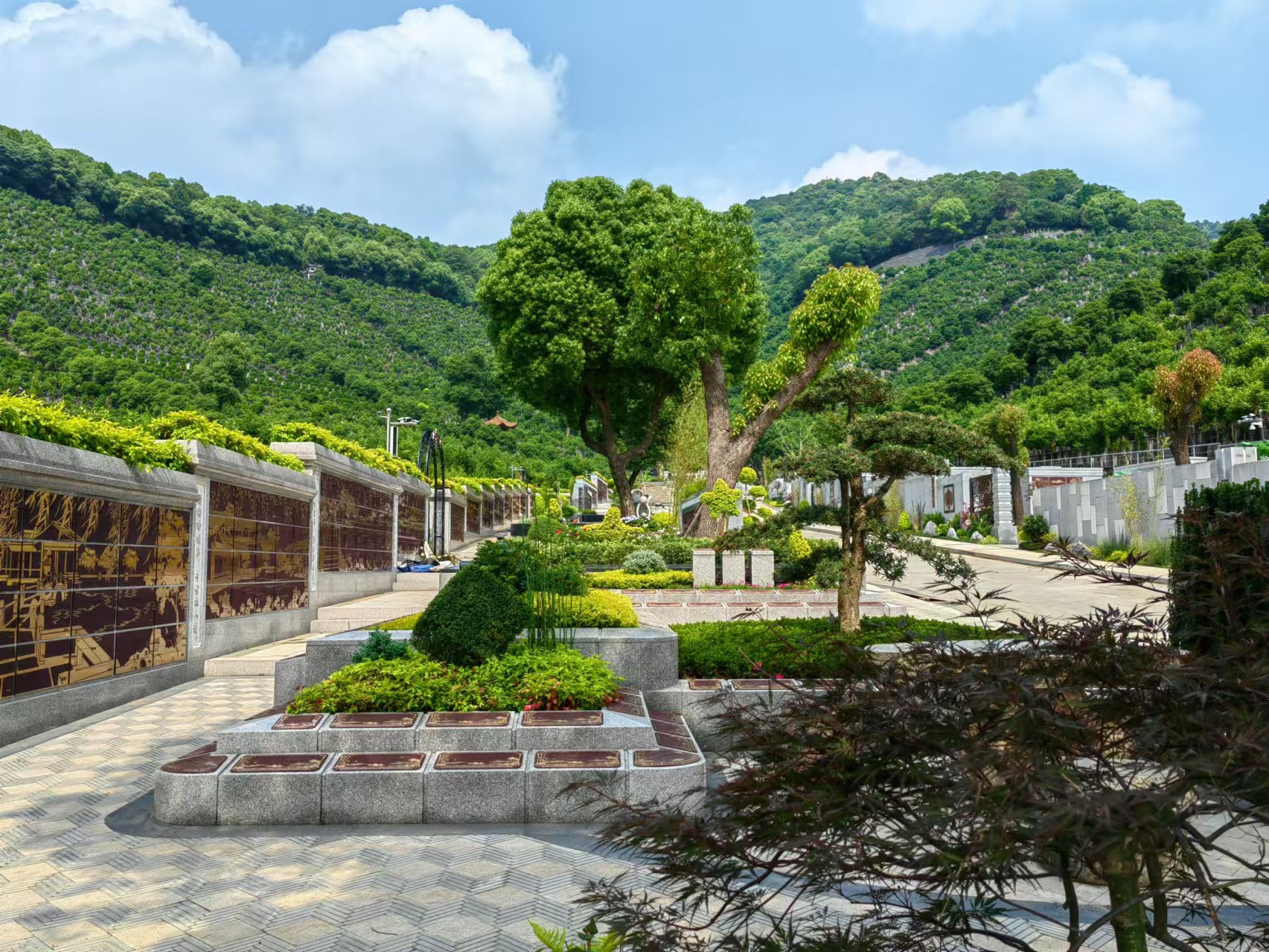 引领绿色生态新风尚，共筑生命和谐家园