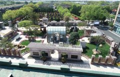 方寸之间，艺术与自然共舞