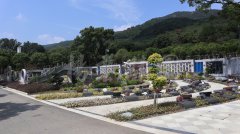 生态葬，让生命在绿意中永恒