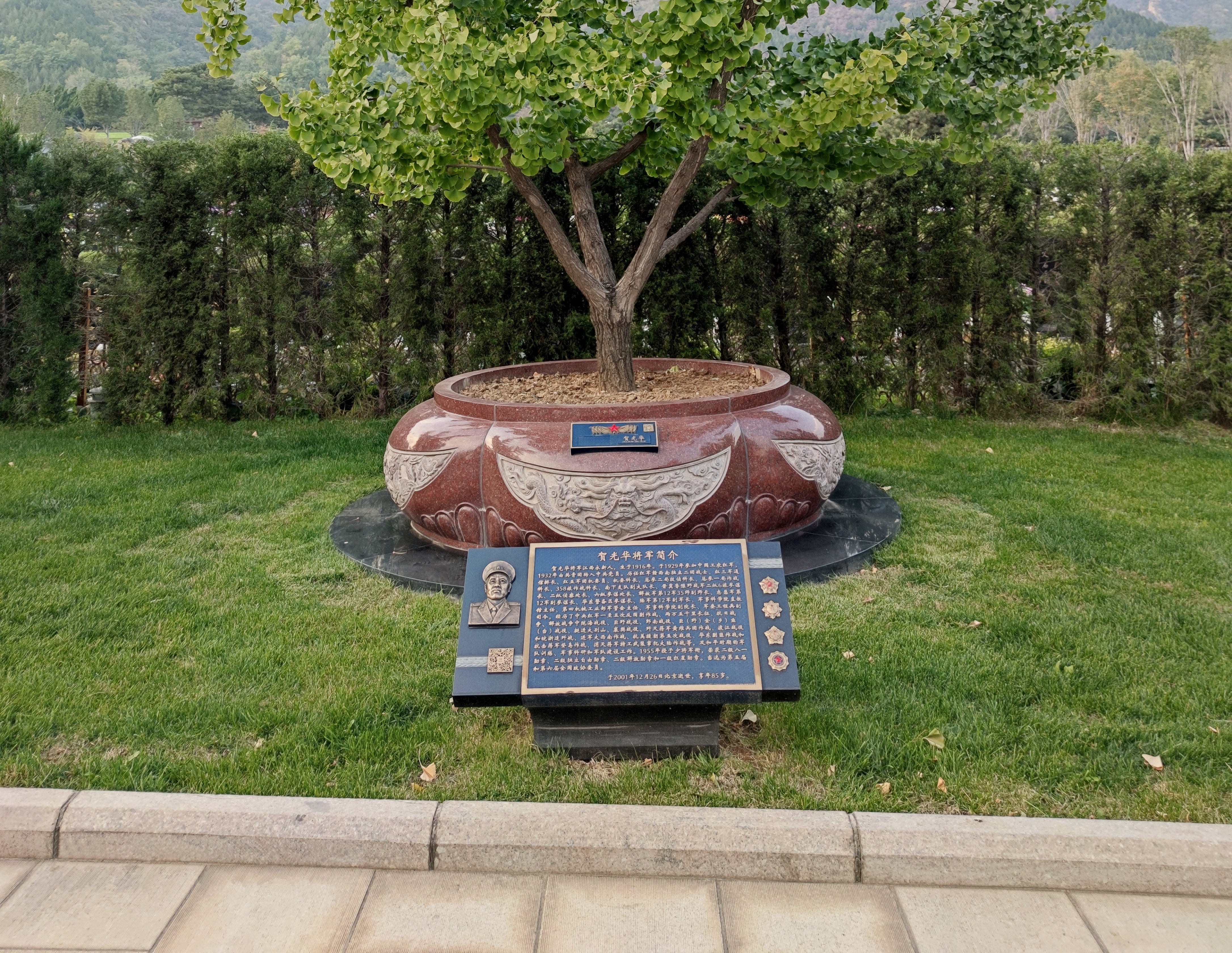 尊龙集团铜艺，让记忆有形，让传承有光