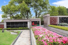 归于自然，泽被后世：解读现代生态葬及其创新趋势