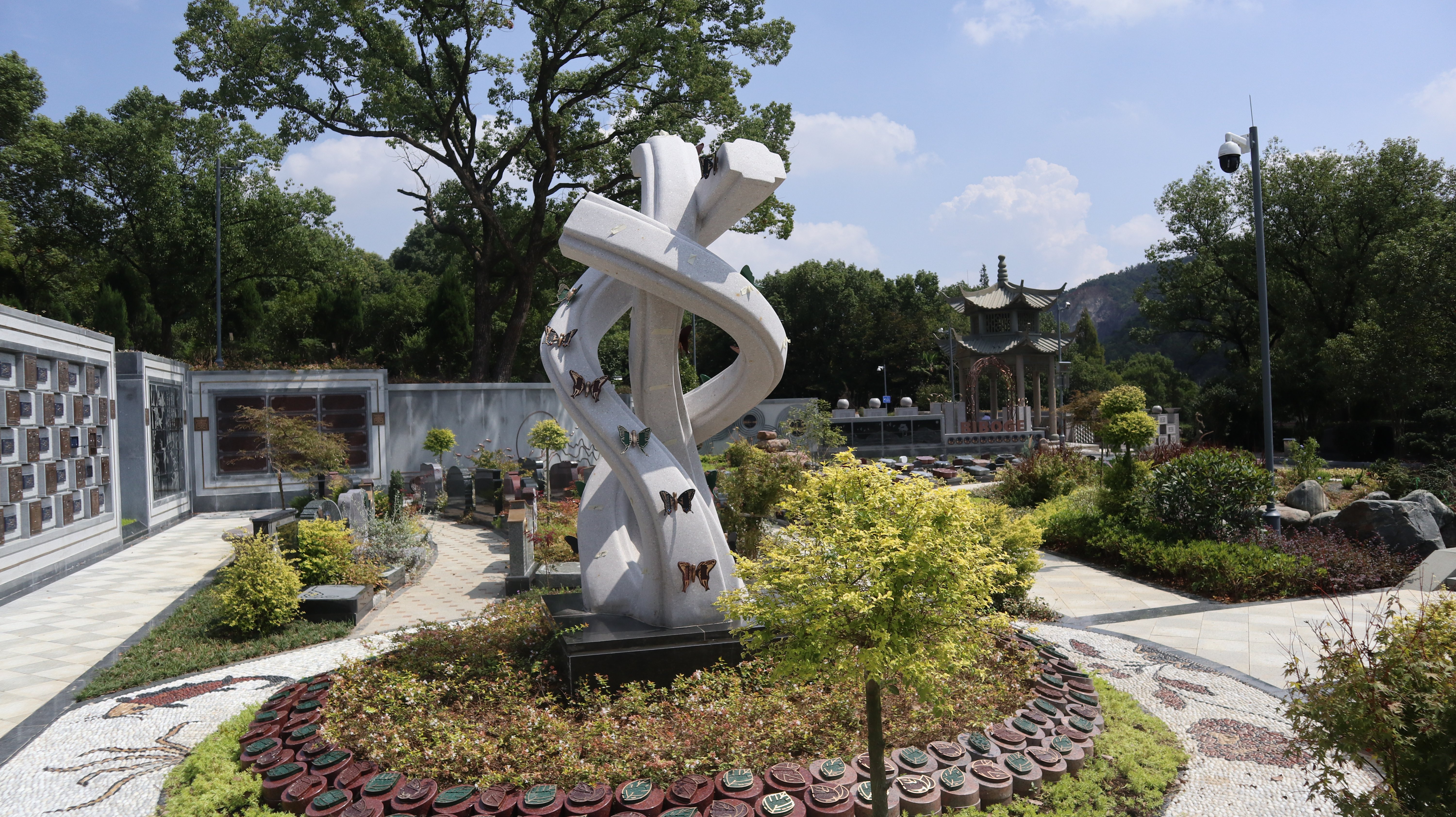 节地亦诗意！尊龙集团葬式创新助力绿色殡葬发展